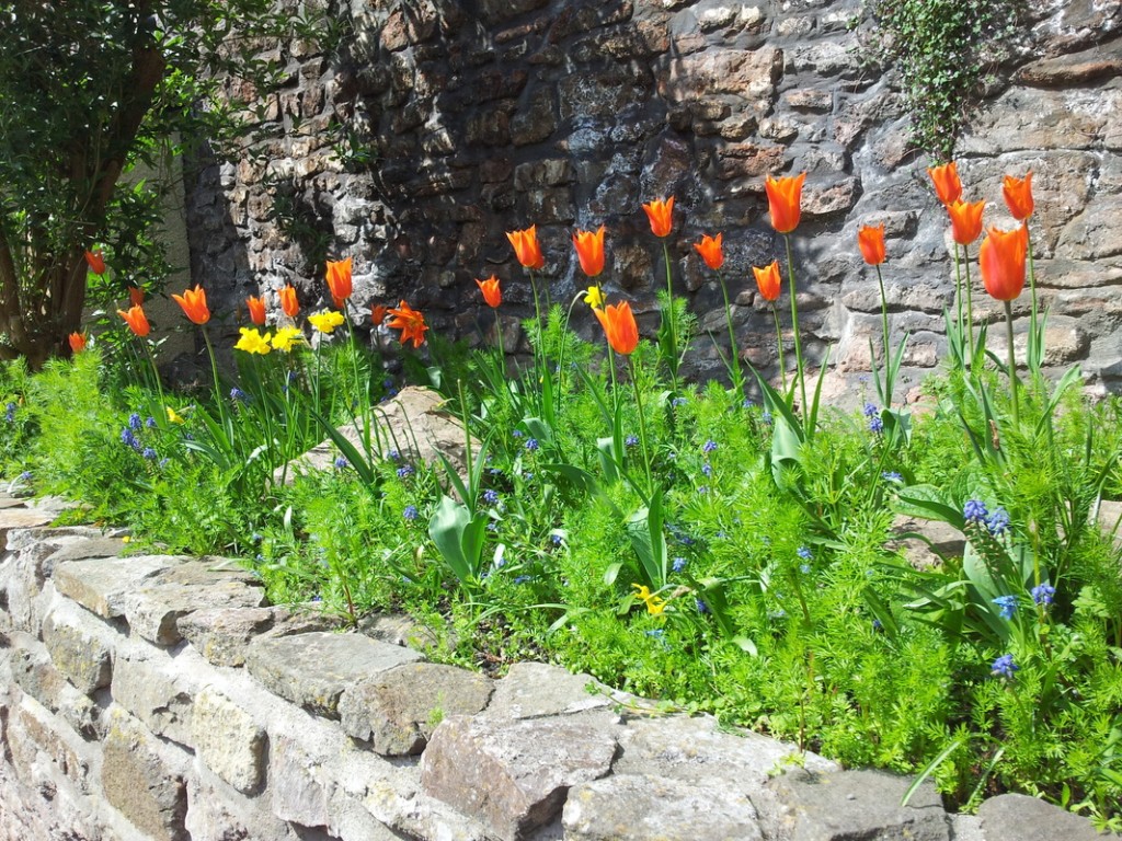Gardens | Valley Gardens